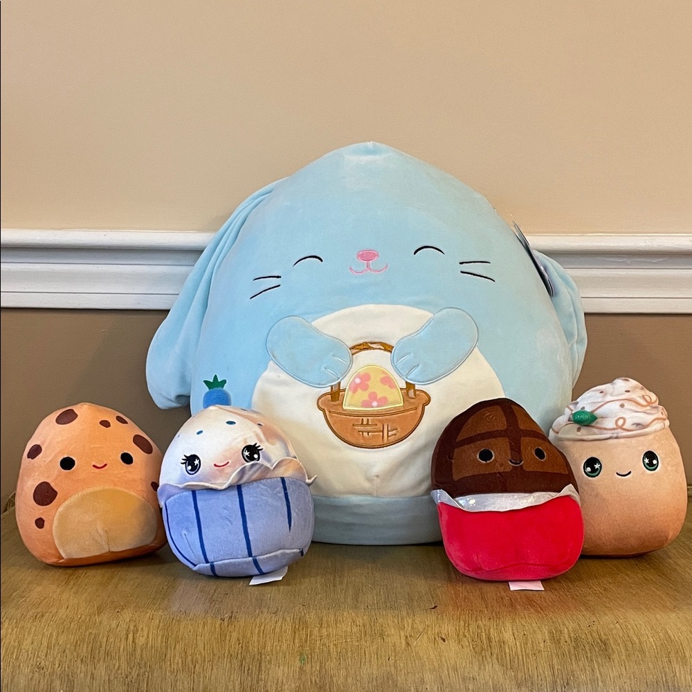 5 Squishmallows! Large NWT Buttons (or Xin) and 4 small NWOT! Perfect Condition!
